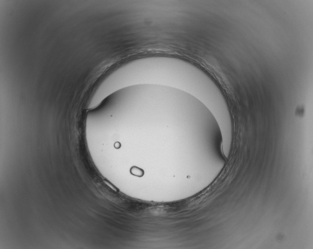 X0000116890116201001191813