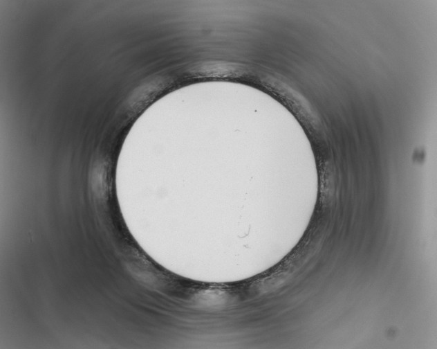 X0000116890119201001191813