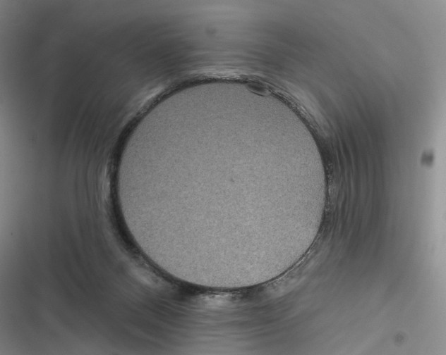 X0000116890120201001191813