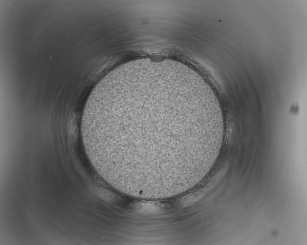 X0000116890121201001191813