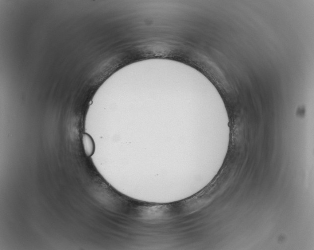 X0000116890122201001191813