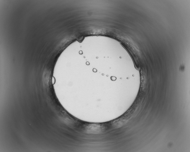 X0000116890123201001191813