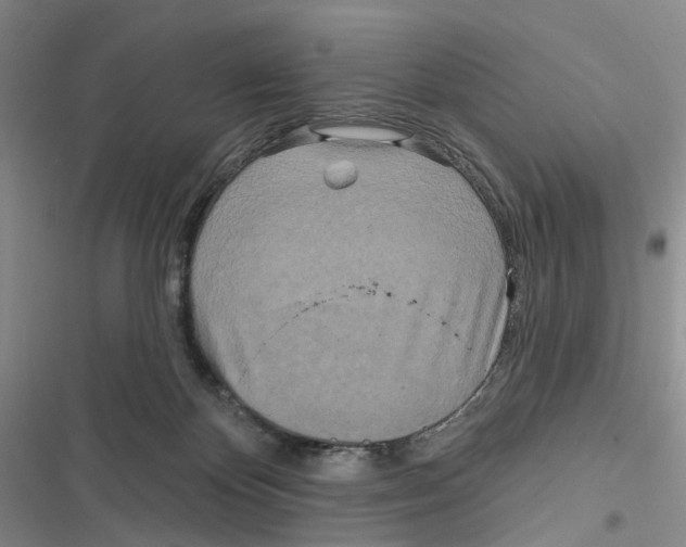 X0000116890124201001191813