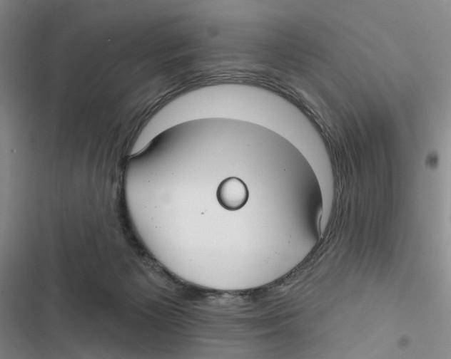 X0000116890125201001191813