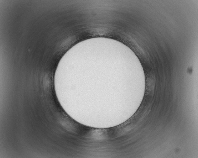 X0000116890126201001191813