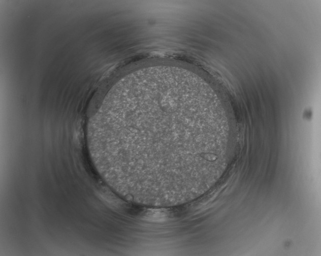 X0000116890127201001191813