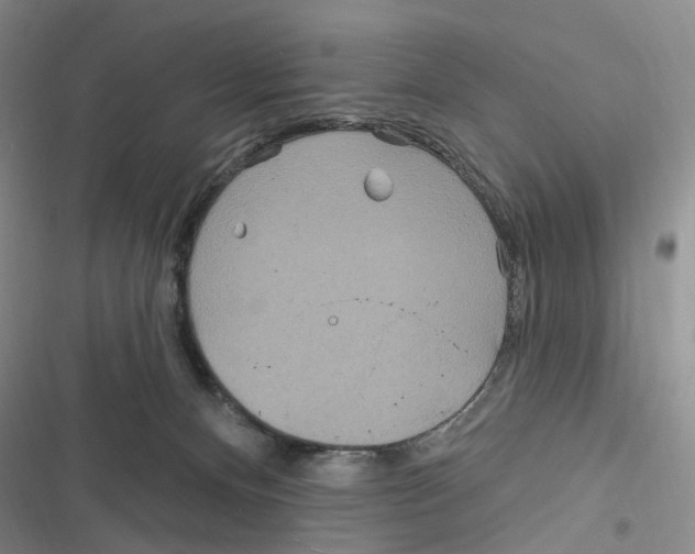 X0000116890128201001191813