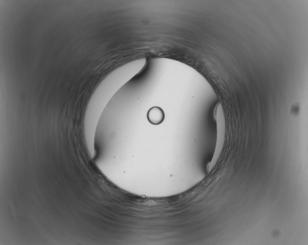 X0000116890129201001191813