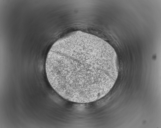 X0000116890131201001191813