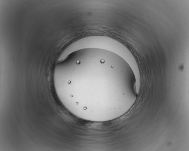 X0000116890132201001191813