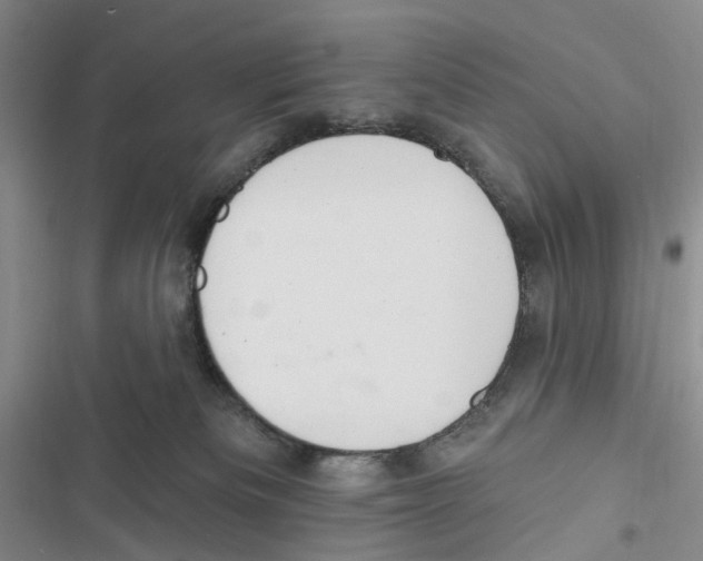 X0000116890133201001191813