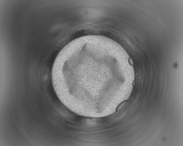 X0000116890134201001191813