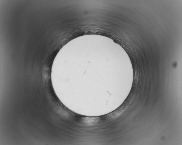 X0000116890135201001191813