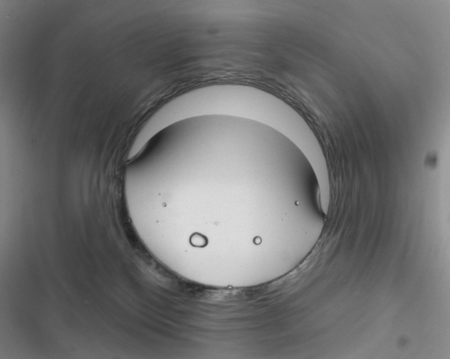 X0000116890136201001191813