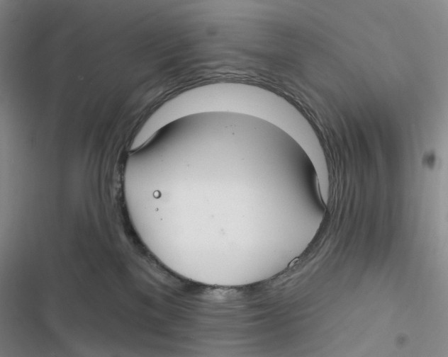 X0000116890137201001191813