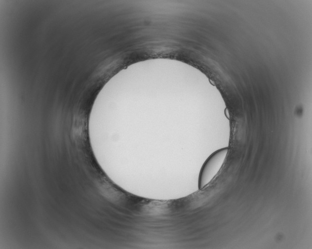 X0000116890138201001191813