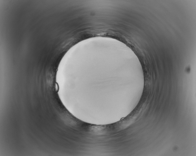 X0000116890139201001191813