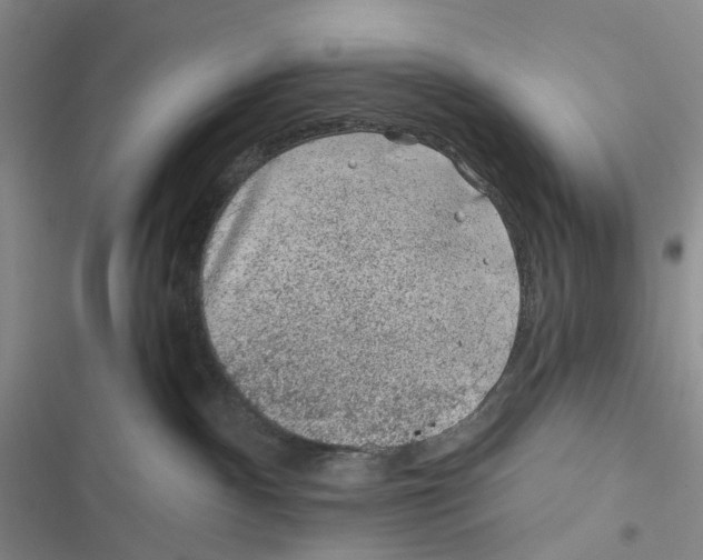 X0000116890140201001191813