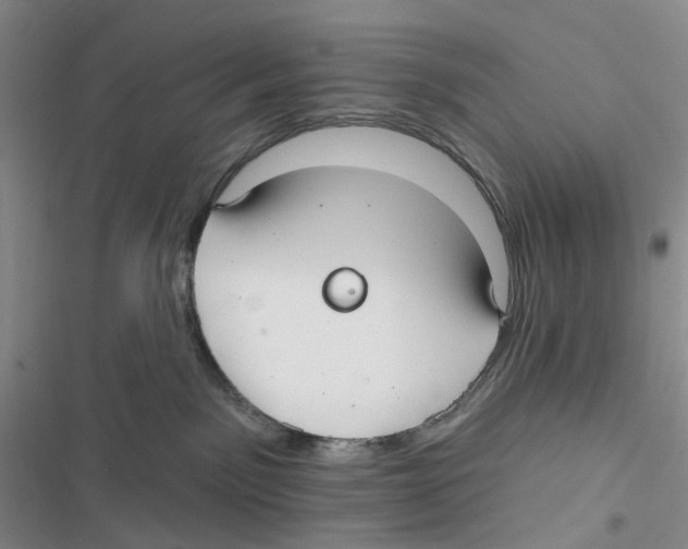 X0000116890141201001191813