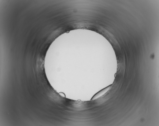 X0000116890142201001191813