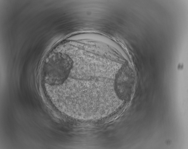 X0000116890145201001191812