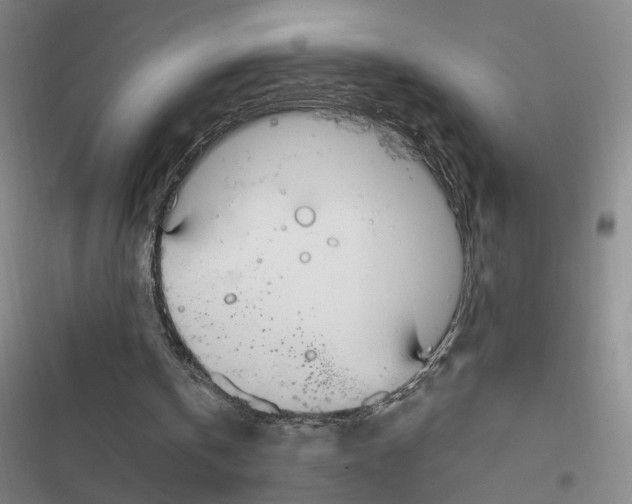 X0000116890146201001191812