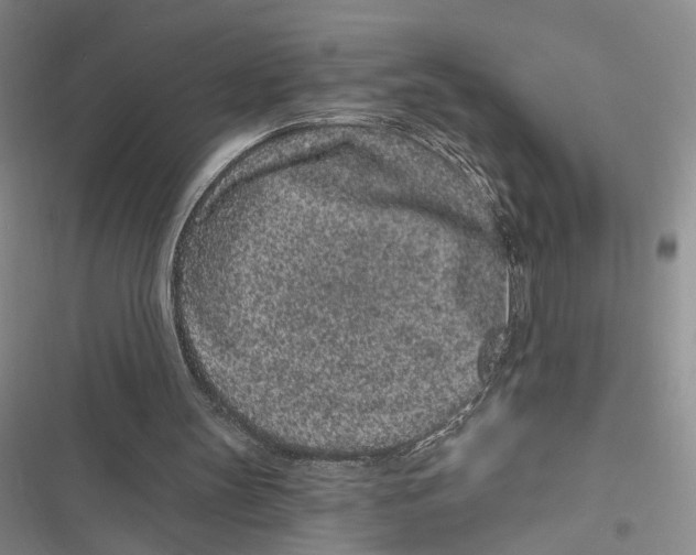 X0000116890147201001191812