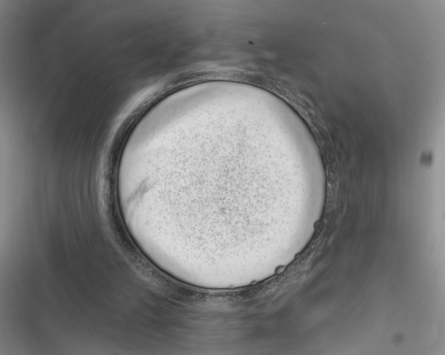 X0000116890149201001191812