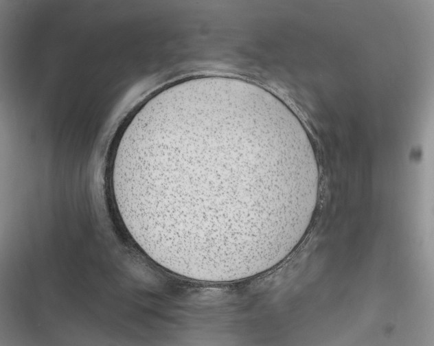 X0000116890151201001191812