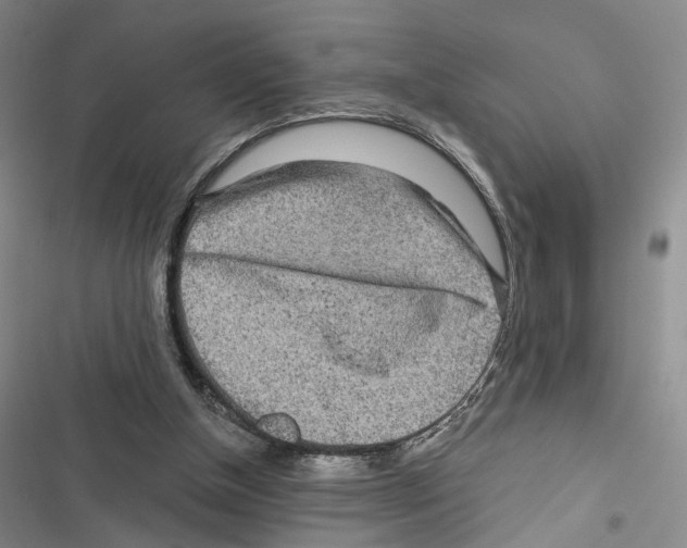 X0000116890154201001191813