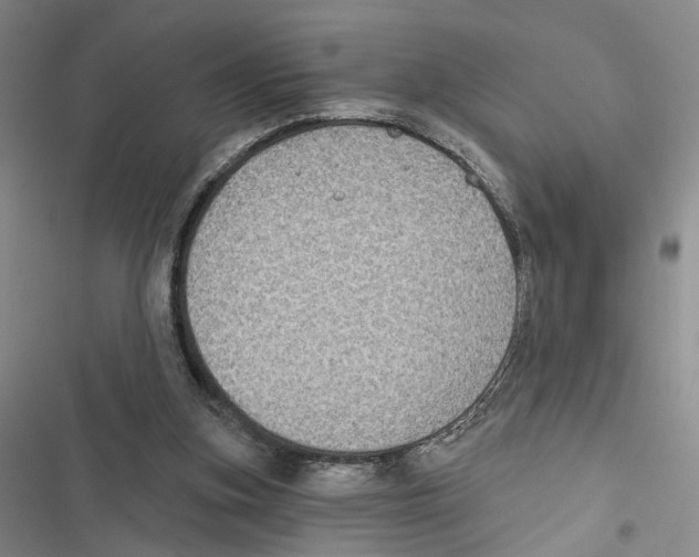 X0000116890155201001191813