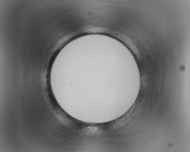 X0000116890159201001191813