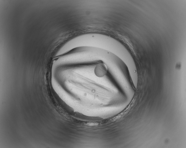 X0000116890162201001191813