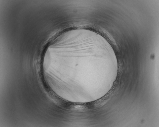 X0000116890163201001191813