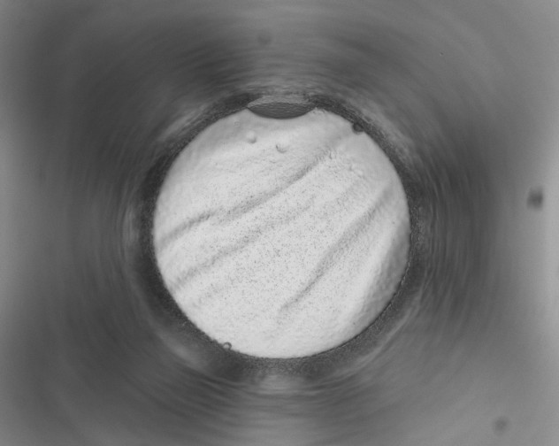 X0000116890165201001191813