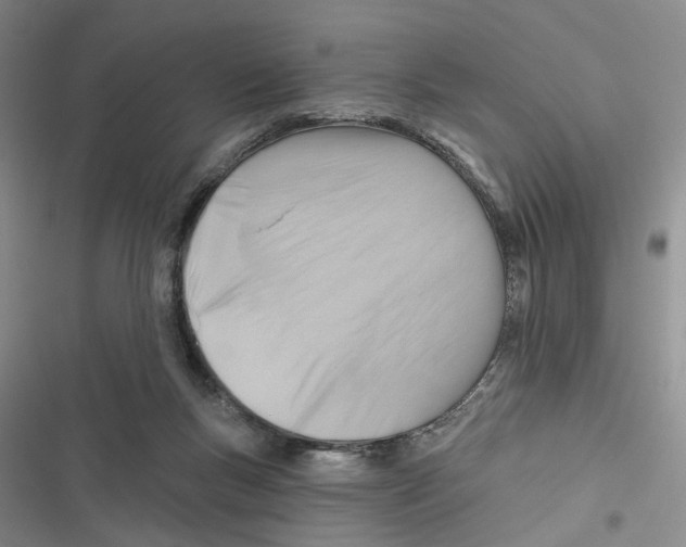 X0000116890167201001191813