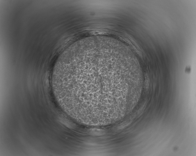 X0000116890169201001191813