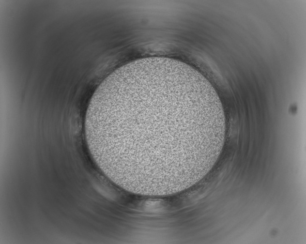 X0000116890173201001191813