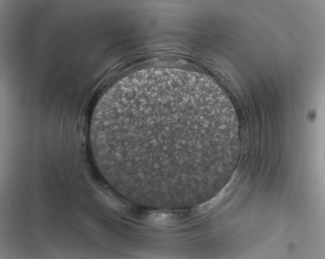 X0000116890174201001191813