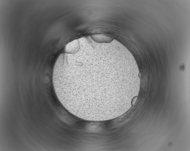 X0000116890175201001191813