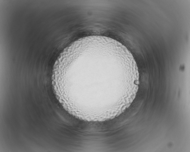 X0000116890177201001191813