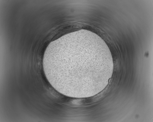 X0000116890178201001191813