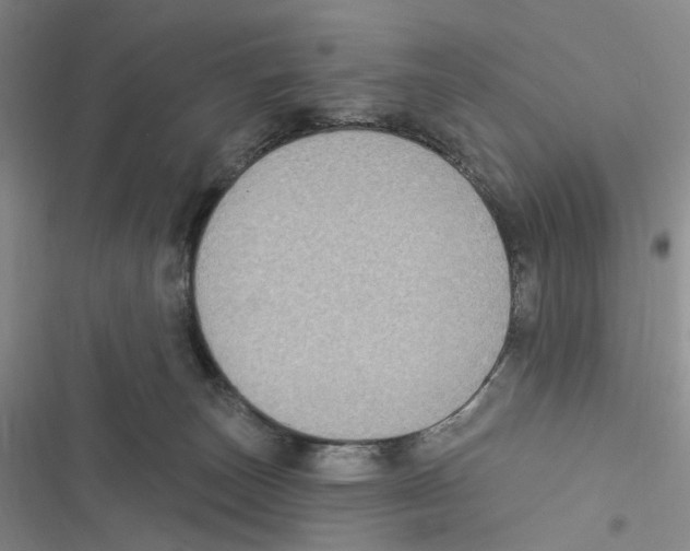 X0000116890179201001191813