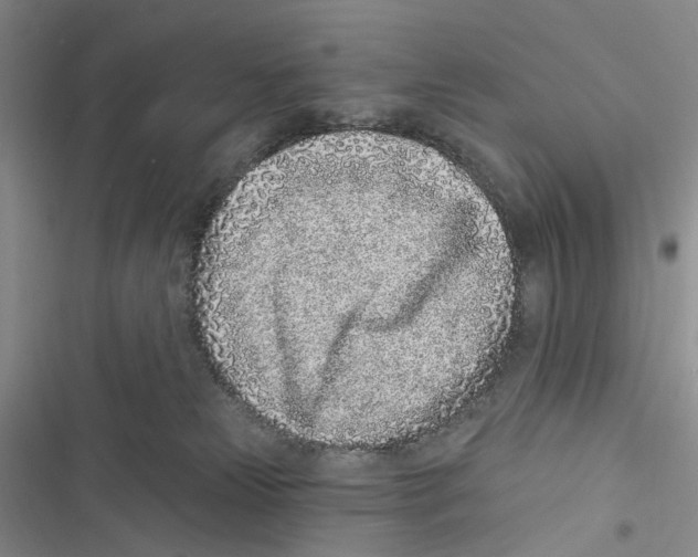 X0000116890181201001191813