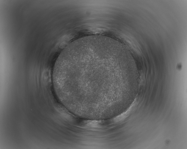 X0000116890182201001191813