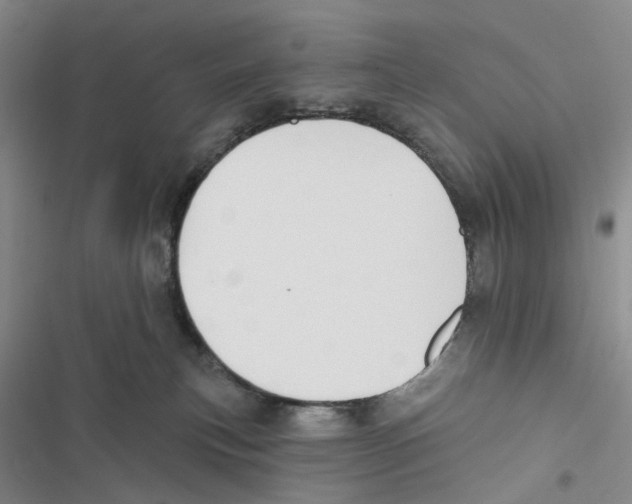 X0000116890183201001191813