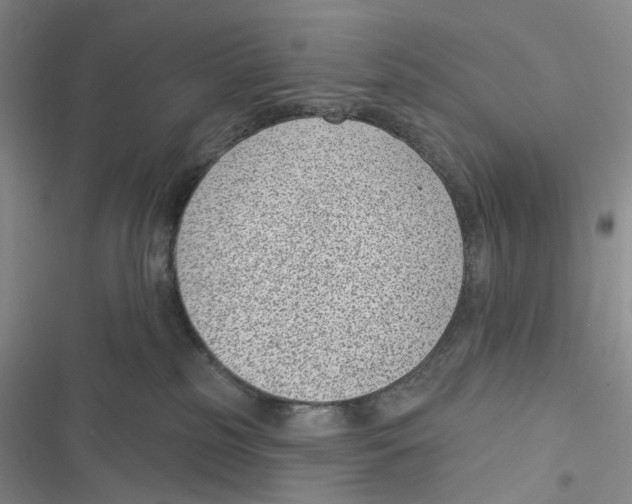 X0000116890185201001191813