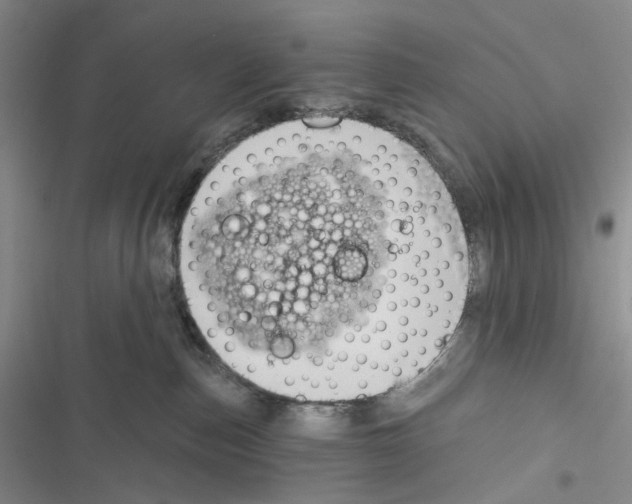 X0000116890187201001191813