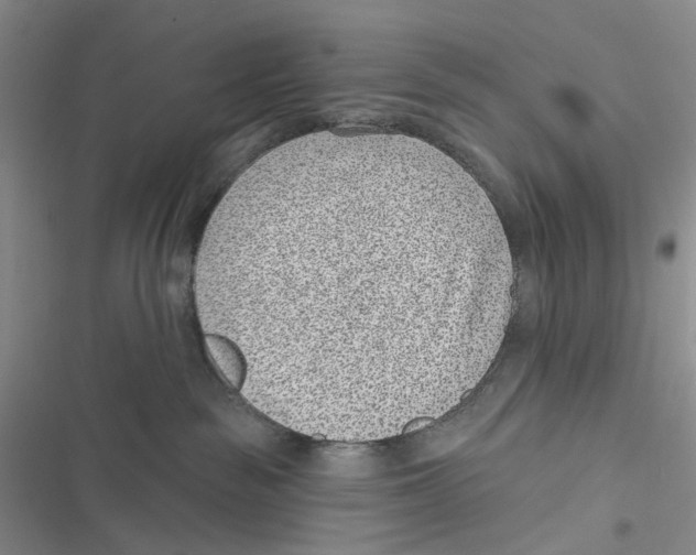 X0000116890189201001191813