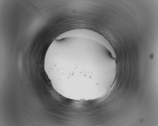 X0000116890190201001191813